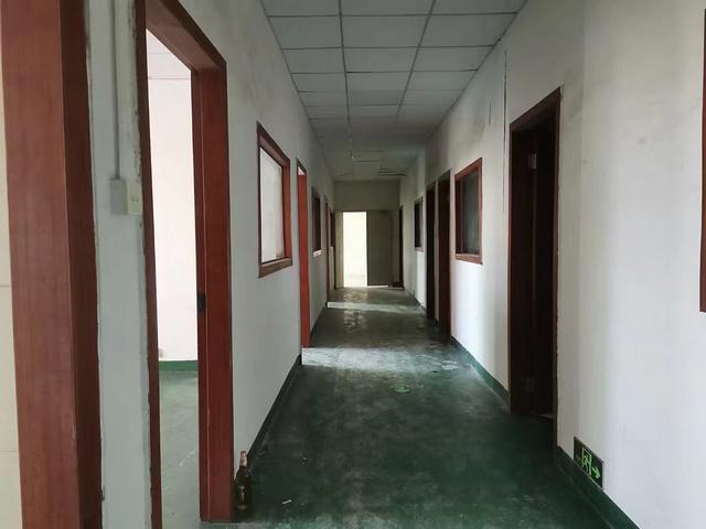 沙井新桥高速出口独门独院6500平方可分租有宿舍