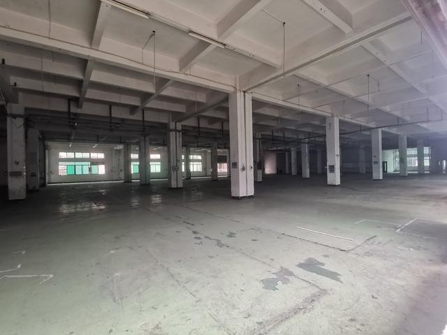 黄埔东区厂房出租