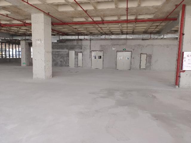 黄埔东区60000方厂房重磅来袭