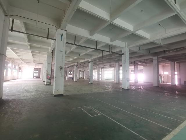 黄埔东区厂房出租