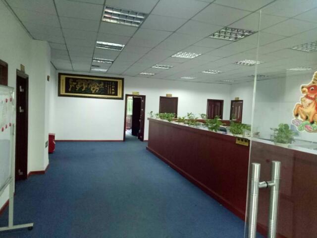 石岩石龙仔新出原房东1660平米带精装修无转让费