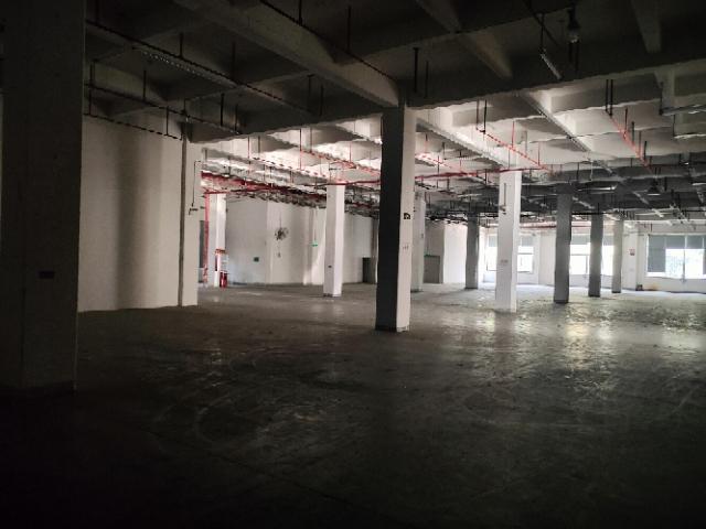 黄埔东区高台仓火热招商