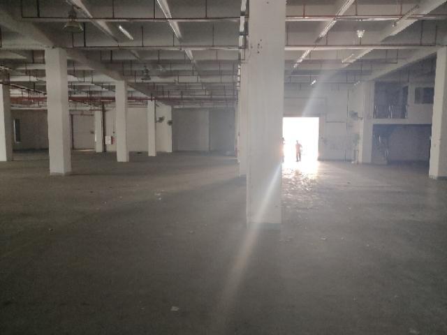 黄埔东区高台仓火热招商