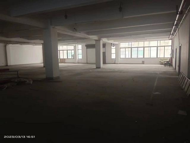 出租荔湾东沙910方一楼带冷库厂房
