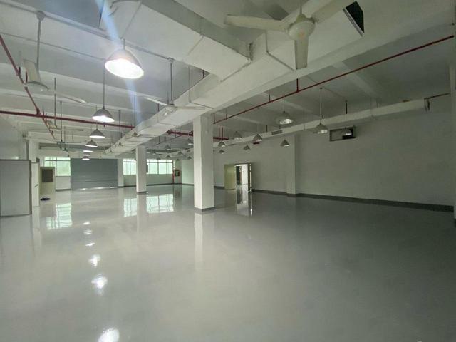 石岩高速口2000平方原房东全新精装修仓库厂房出租可分租