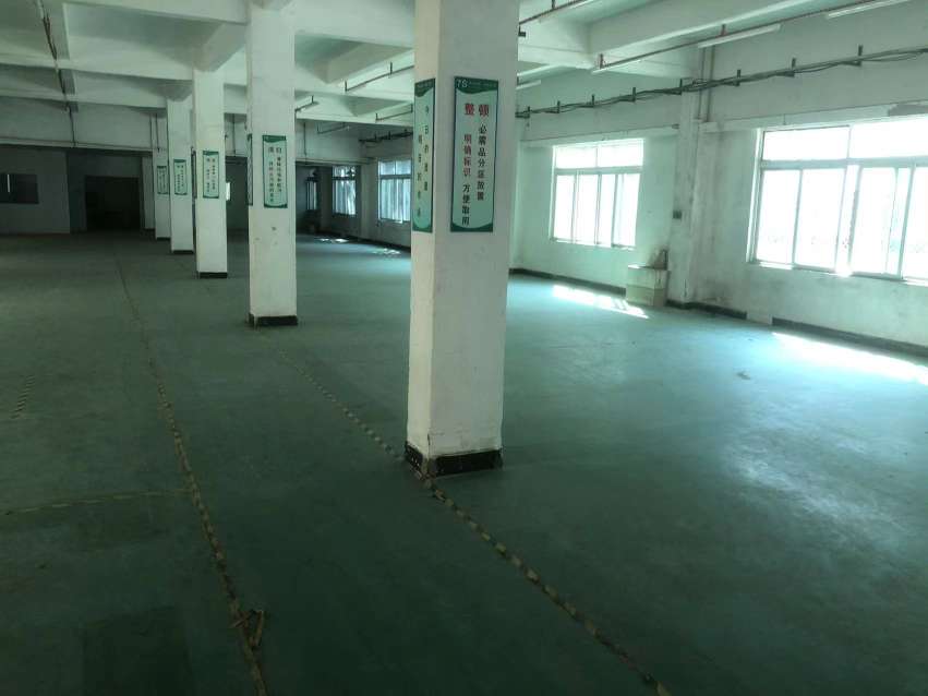 出租四会市 建筑面积22000㎡双层厂房